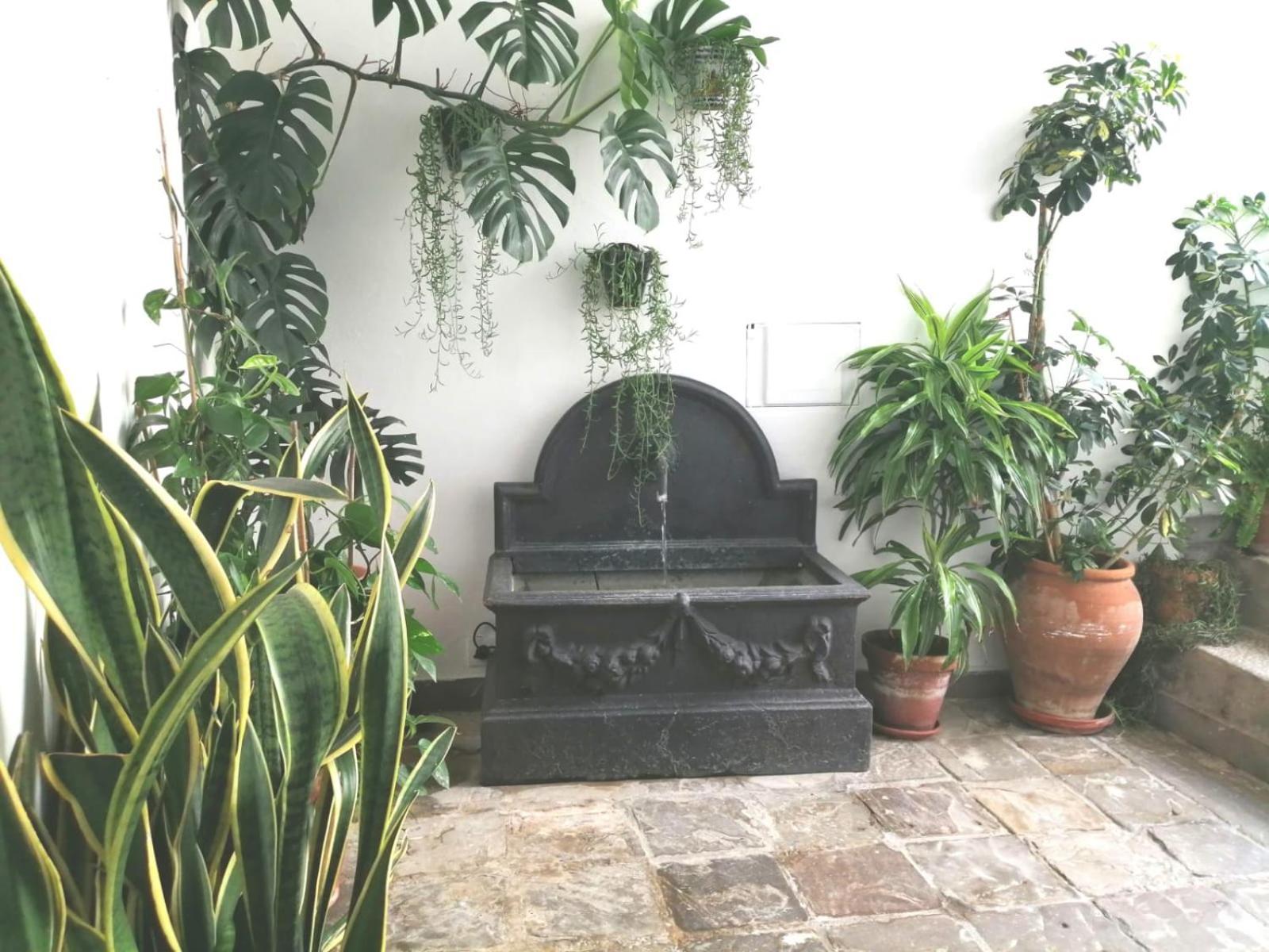 Ave Maria 7 Apartment Tarifa Bagian luar foto